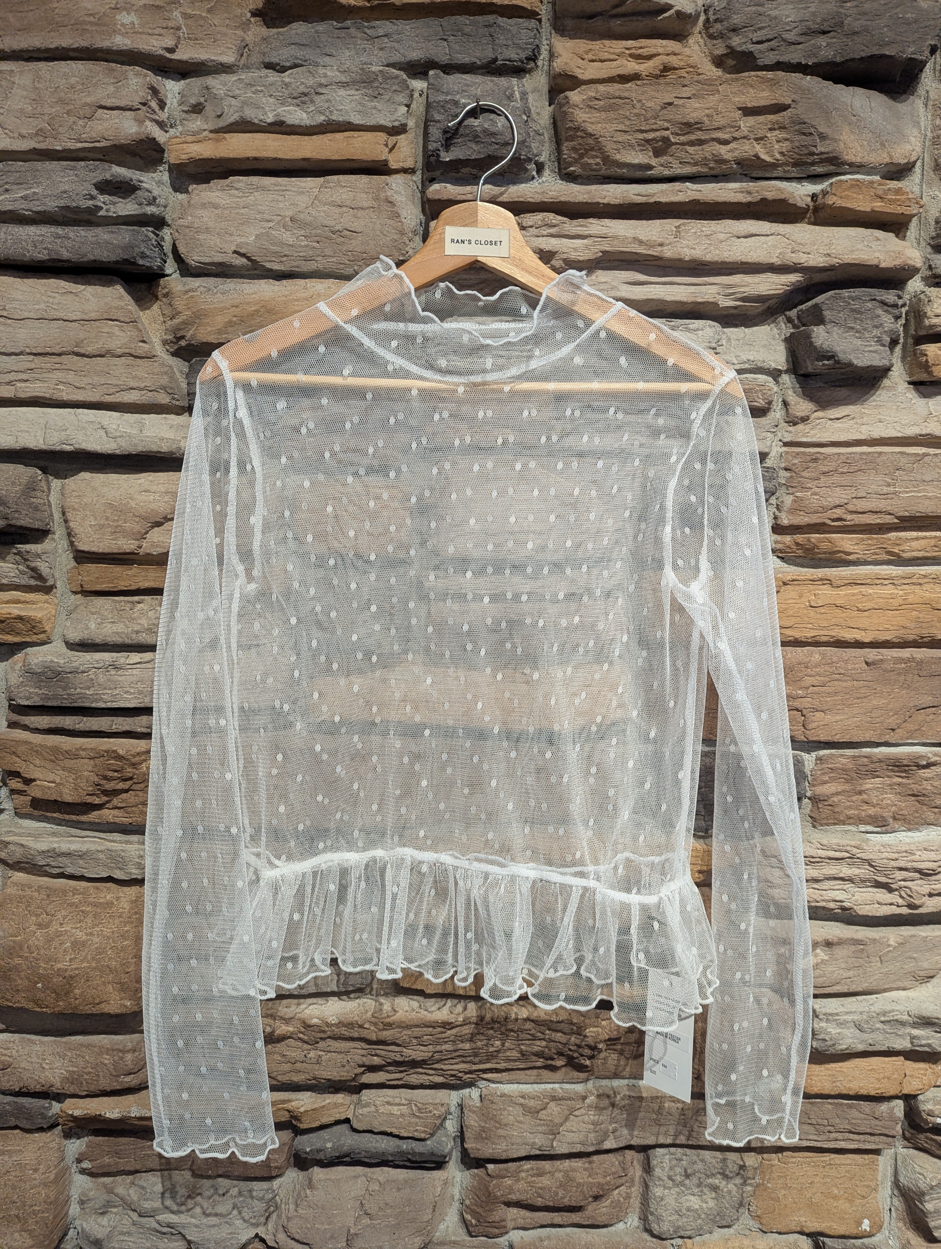 Sheer Muse Turtle Neck
