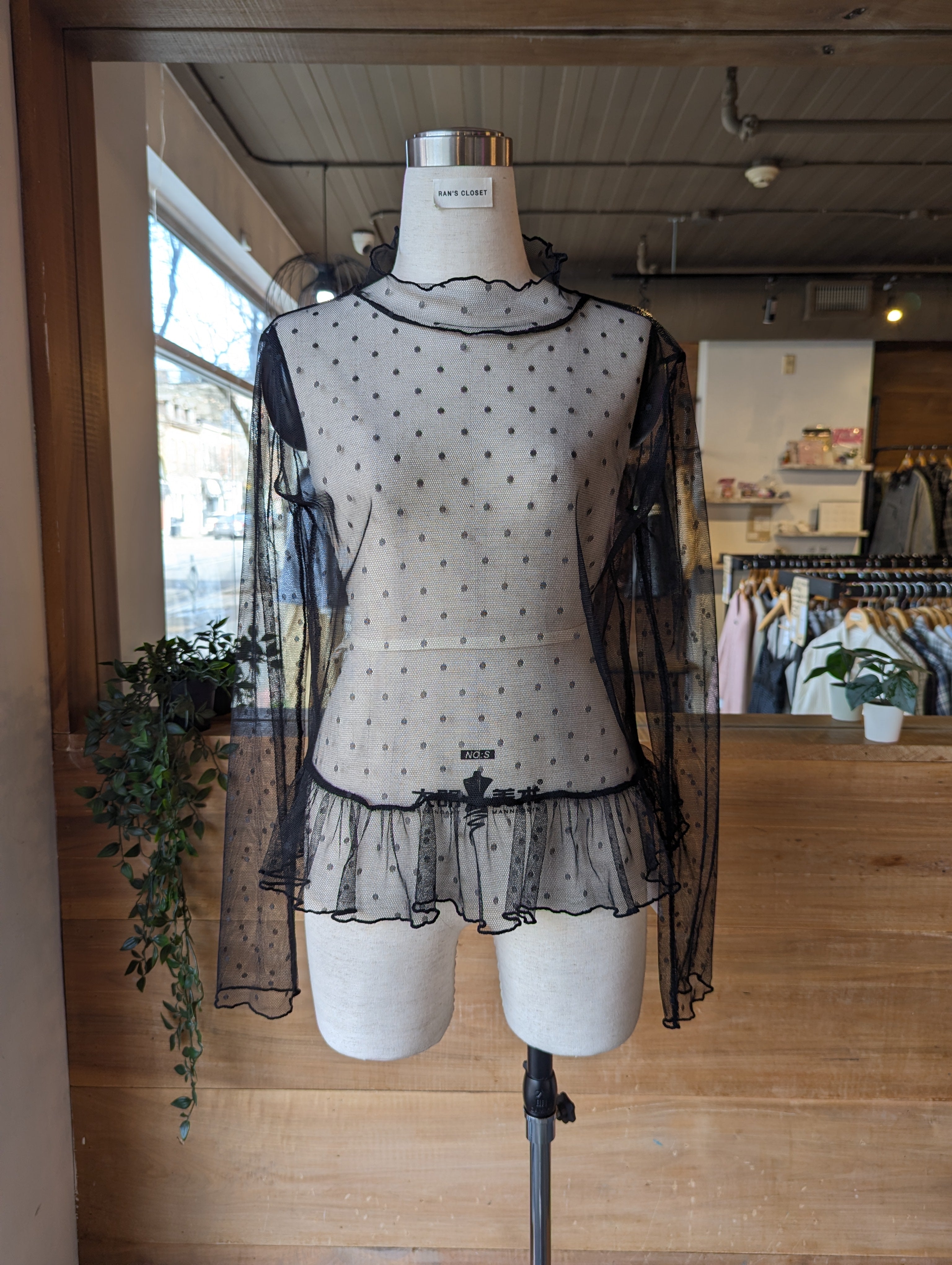 Sheer Muse Turtle Neck