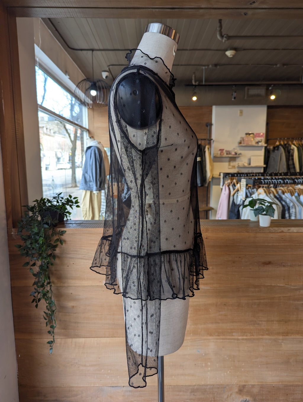 Sheer Muse Turtle Neck