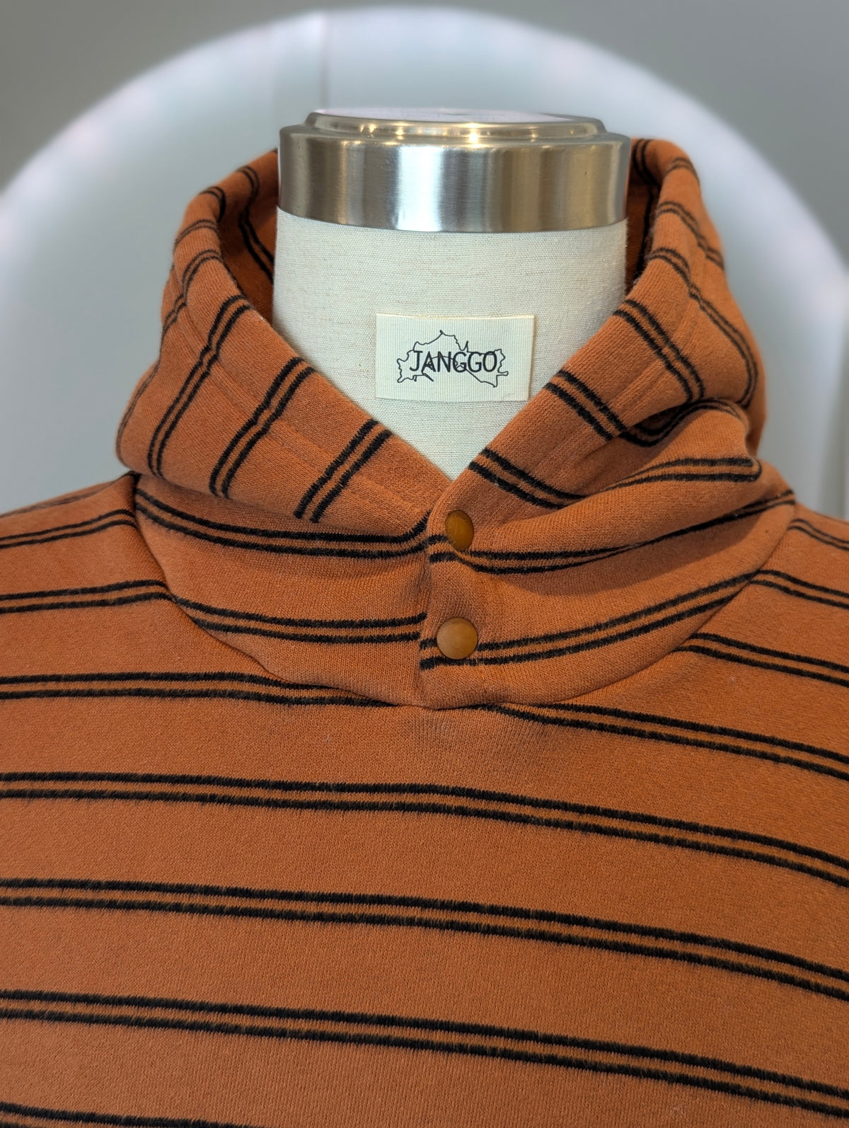 Parker striped Hoodie