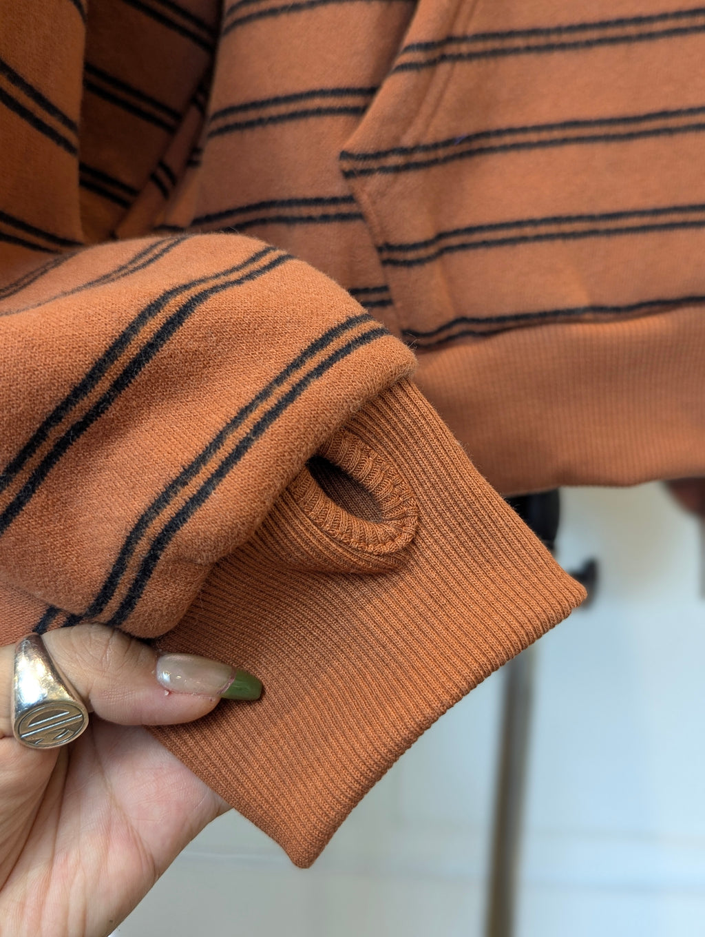 Parker striped Hoodie